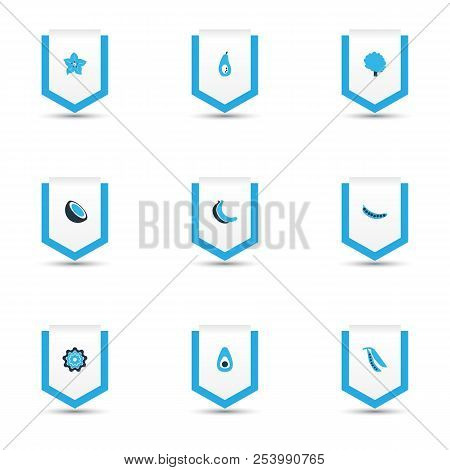 Vegetable Icons Colored Set With Carambola, Freshness, Cocoanut And Other Ecology Elements. Isolated