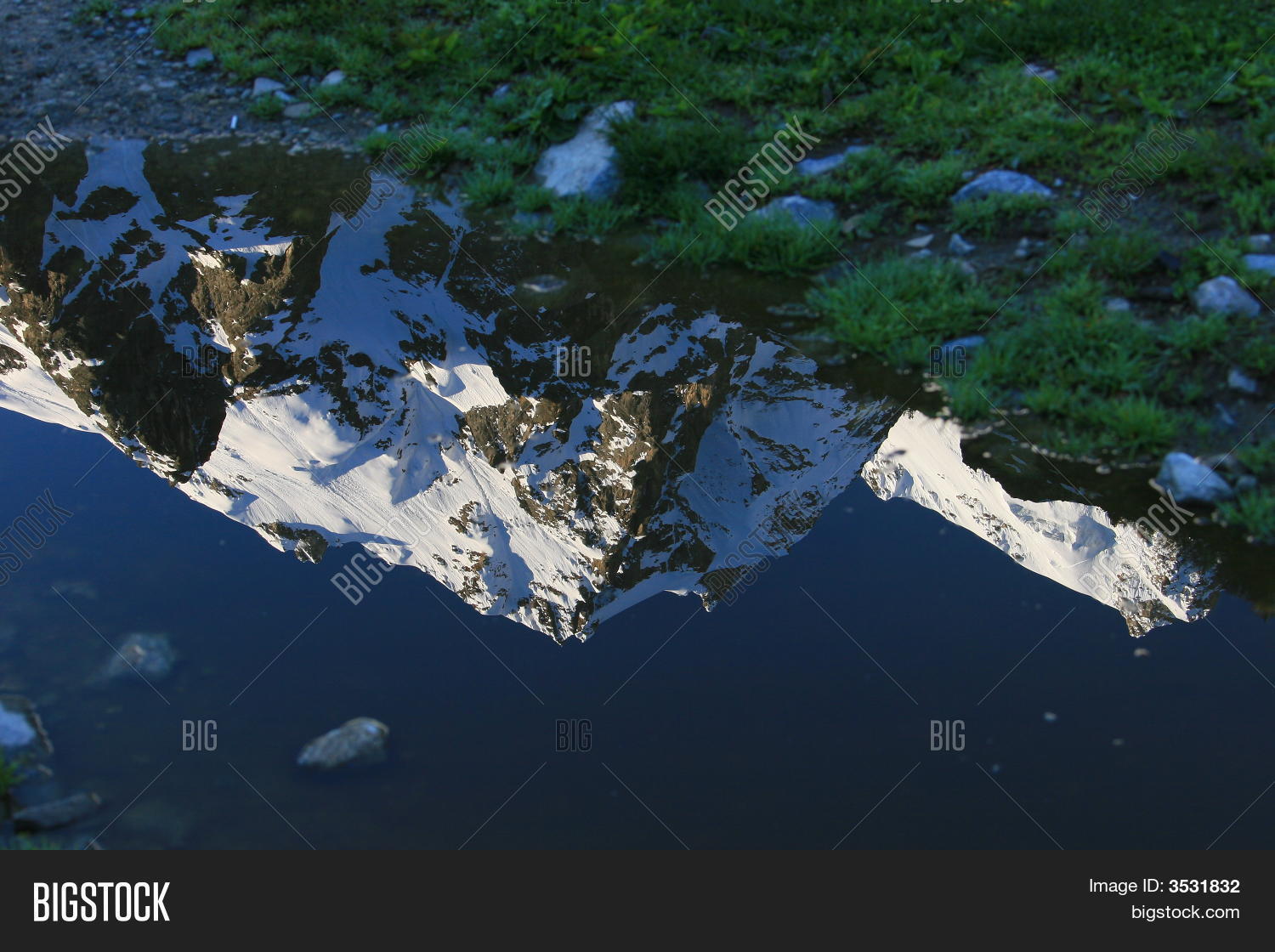 Image Preview