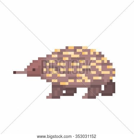 Echidna Pixel Art Character Isolated On White Background. 8 Bit Wildlife Australian Animal Symbol. S