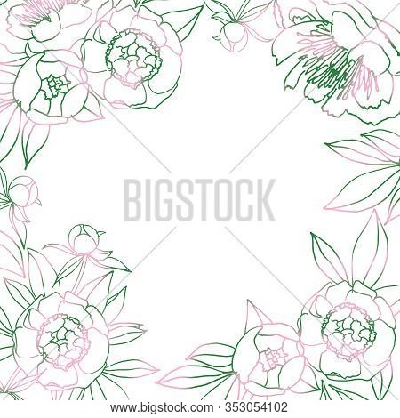 Frame For Your Photo Or Text With Peony. Pink And Green Natural Hand Drawing Illustration For Congra