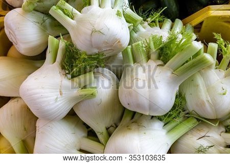 Fresh Fennel Bulbs At A Farmers Market In Italy