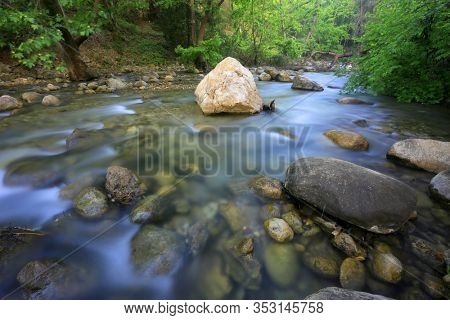 Lamdscape with mountain stream in green forest