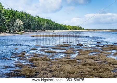 A View Of The Shoreline At Leadbetter Point  State Park In Washington Statep