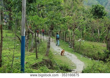 View Of Narrow Path In Midst Of Mountains