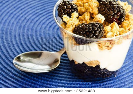 Semifreddo di yogurt BlackBerry, muesli e vaniglia
