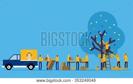 Procedures And Production Processes. Contribution Famer Concept, Product