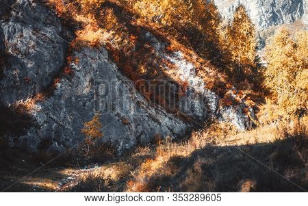 An Amazing Autumn Mountain Landscape With A Rocky Hollow Overgrown With Yellowed Trees And Native Gr