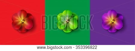 Set Realistic Spring Flowers Background Stock Vector Illustration. Red, Green, Purple. Realistic Flo