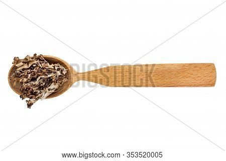 Dried Lichenes Or Bryophyta In A Wooden Spoon On A White Background. Phytotherapy And Disease Preven