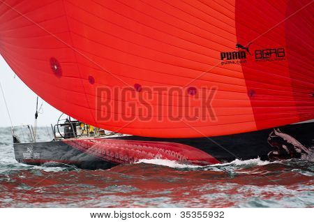 Puma Under Spinnaker