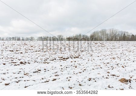 City Sigulda, Latvia. Plowed Field Snow-covered. Aforest In The Distance. Travel Photo.