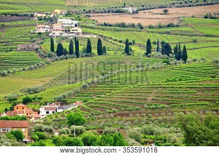 Douro Valley. Portugal Vineyard Countryside Landscape. Alto Douro Doc Wine Making Landscape.