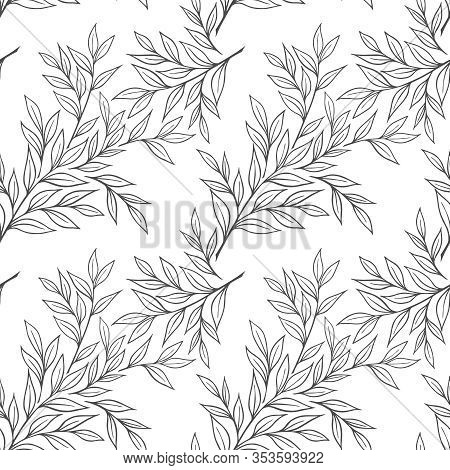 White Seamless Background With Branches Of Ruskus In The Vector