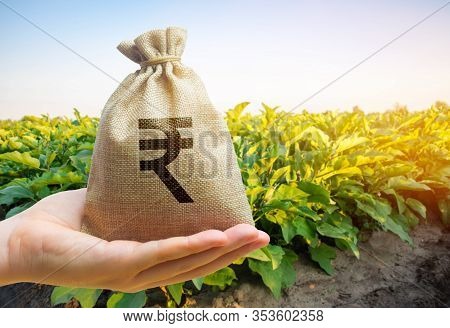 Money Bag On The Background Of Agricultural Crops In The Hand Of The Farmer. Agricultural Startups. 