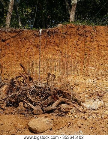 Deforestation Close Up With Roots, Rocks Showing In Sunlight. Red And Yellow Rocks Where Soil Was Du