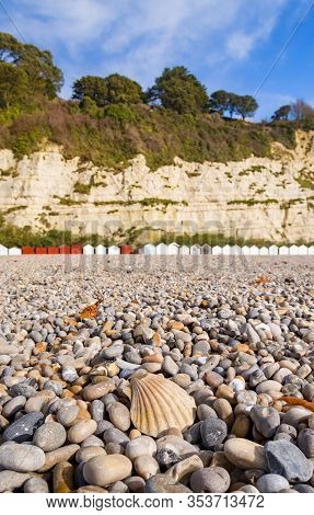 Beach Huts, White Cliffs And Pebbles In Beer, Devon