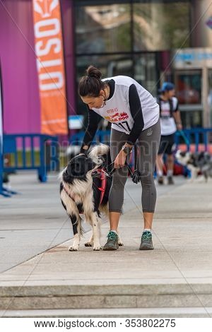 Encamp, Andorra : 1 March 2020 : People And Dogs In The Amateur Race In Encamp. Canicross In Andorra