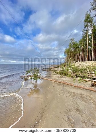Baltic Sea Autumn Coast Beach Carnikava Gauja River Latvia