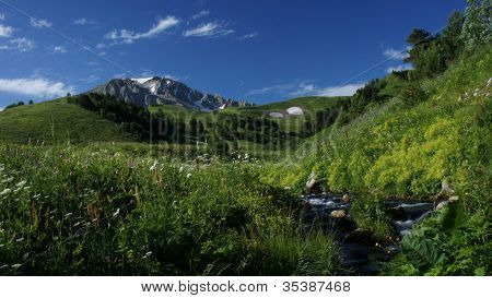 花の牧草地と山の風景