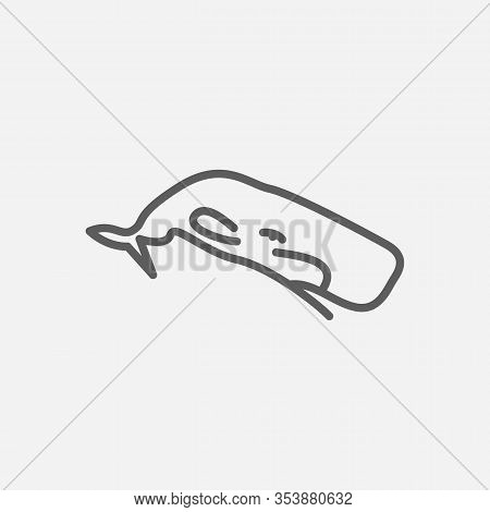 Cetacean Icon Line Symbol. Isolated Vector Illustration Of Icon Sign Concept For Your Web Site Mobil