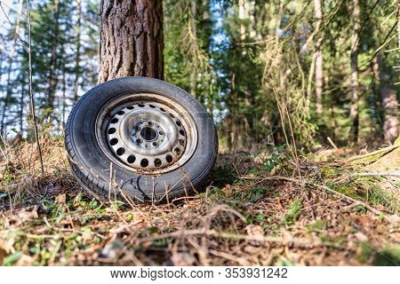 Environmental Elapse In A Forest, A Left Behind Tire In Pure Nature.