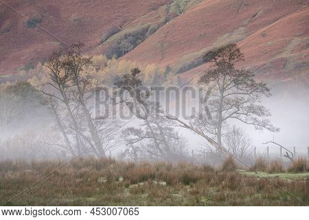 Stunning Autumn Landscape Sunrise Image Looking Towards Borrowdale Valley From Derwentwater In Lake 