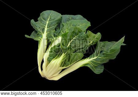 Balkan Cuisine. Blitva ( Chard Leaves ) - Popular Leafy Vegetables.  Isolated On Black Background