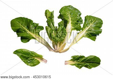 Balkan Cuisine. Blitva ( Chard Leaves ) - Popular Leafy Vegetables. Isolated On White Background