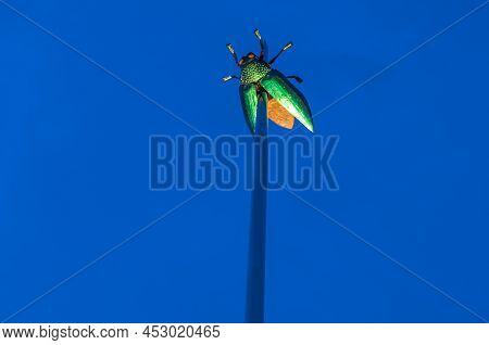 Leuven, Belgium - August 22, 2013:  Modern Art Installation Called 