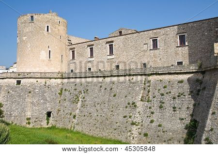 Slottet af Venosa. Basilicata. Italien.