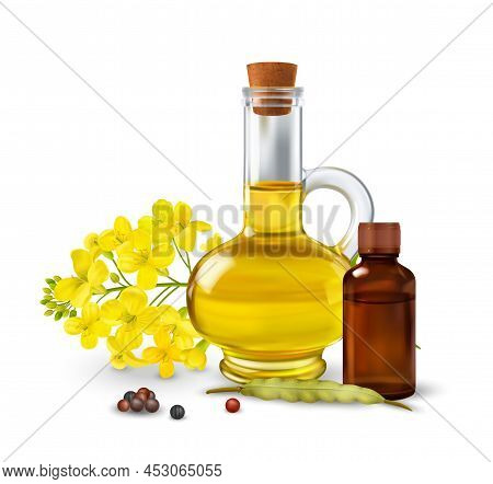 Rape Canola Concept With Oilseed Production Symbols Realistic Vector Illustration