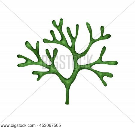 Flat Codium Green Seaweed On White Background Vector Illustration