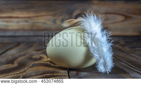 Araucana Egg With Feather On Wooden Background. Light Blue Egg From Araucana Chicken. Easter Festiva