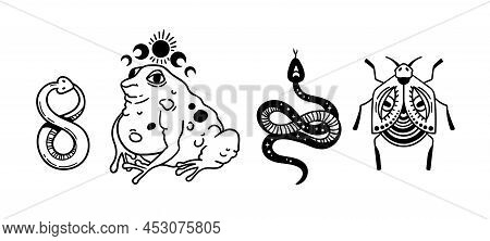 Mystical Trippy Isolated Cliparts Bundle, Goblincore Aesthetics, Mystical Toad, Creepy Insect, Snake