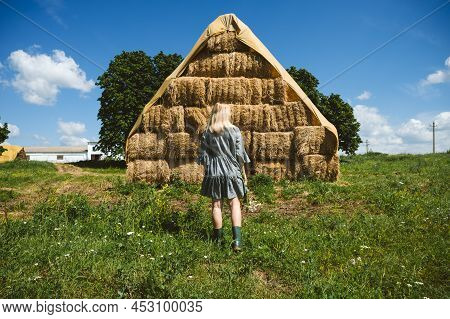 Cottagecore, Simple Living, Country Aesthetic Lifestyle, Modern Rural Fantasy, Pastoral Aesthetic. Y