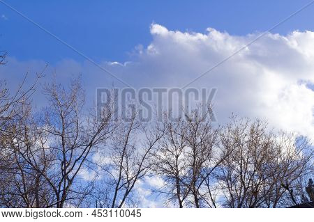Spring Natural Background Texture With Trees Against Bright Blue Sky With Clouds Photo With Copy Spa