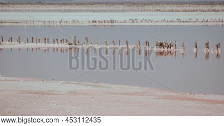Pink Salt Cristales. Natural Pink Salt Lake Texture. Salt Mining. Salty Pink Lake With Crystals Of S