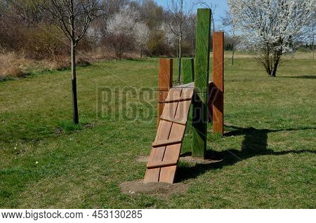 Park For Dogs. Training Ground For Dogs. Tunnels And Beams, Obstacle Courses Made Of Acacia And Plas