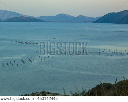 Mussel Farming At Butrint Lake, Ksamil - Albania.