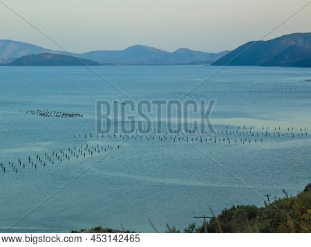 Mussel Farming At Butrint Lake, Ksamil - Albania.