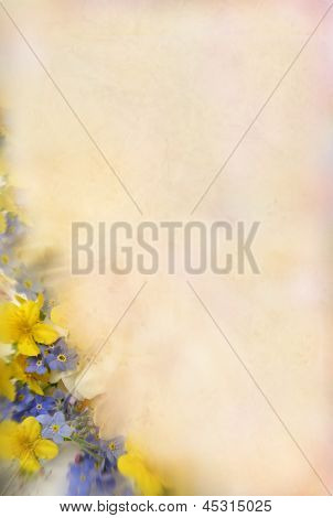Fondo Flovers 1
