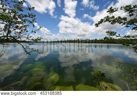 Submerged Boulders Along Shore Of Pine Glades Lake In Everglades National Park, Florida Clearly Visi
