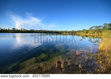 Submerged Boulders Along Shore Of Pine Glades Lake In Everglades National Park, Florida Clearly Visi