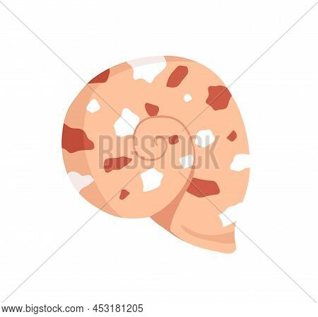 Snail Sea Shell. Marine Underwater Twisted Seashell Of Spiral Shape. Undersea Mollusc. Swirled Mollu