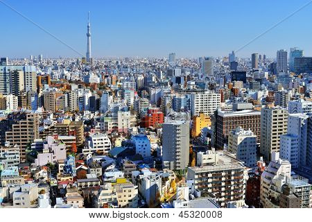 Městské panorama Tokia s Tokio Skytree v dálce.