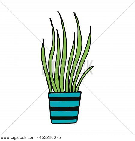 Chlorophytum In A Pot Icon Hand Drawn. Vector, Minimalism, Scandinavian, Doodle, Cartoon. Sticker, P