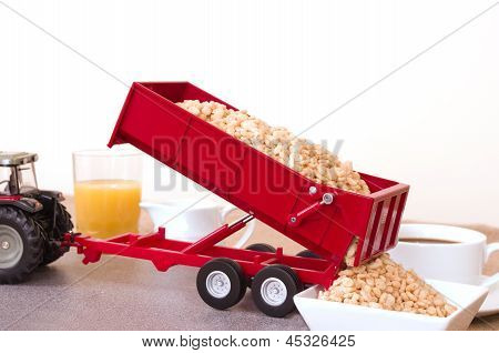 Tabela de alimentos do campo