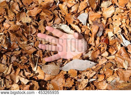 Helpless Hand Of The Man Submerged By The Dry Fallen Leaves Of The Wood