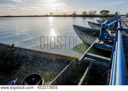Bricole And Palisades For A Mussel Farm At The Mouth Of The Po River Delta