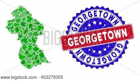 Ecology Guyana Map Mosaic Of Floral Leaves In Green Color Tinges With Grunge Bicolor Georgetown Seal